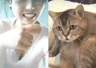 搞笑喵大人（喵星人）这只小猫咪看到妹子的表情实在太好笑