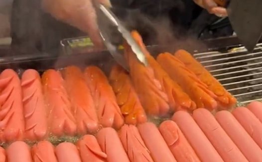 淀粉肠是什么意思
